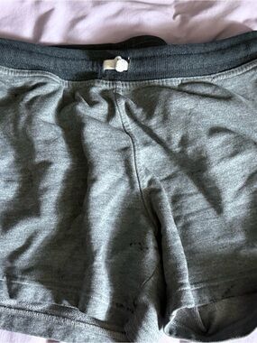 Gray Chubbies Athletic Shorts